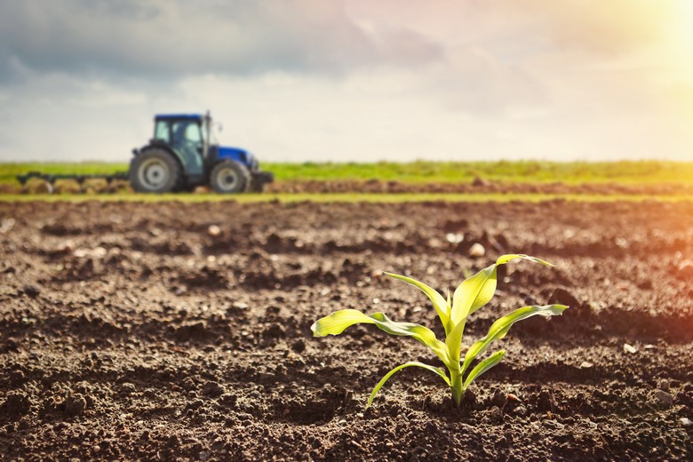 Master Professionne en Science Agronomique