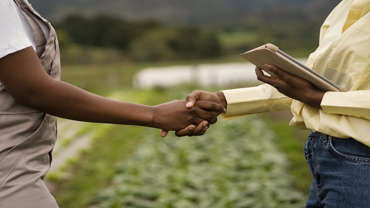Licence Pro en Commercialisation des Produits Agricoles