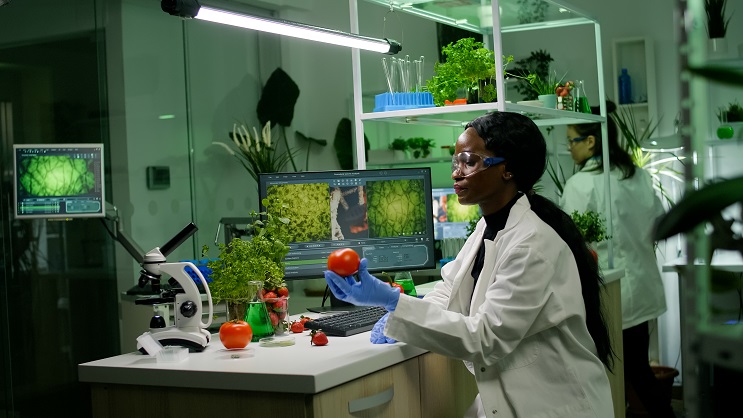 Licence Pro en Agrochimie option Production d'Engrais Biologique