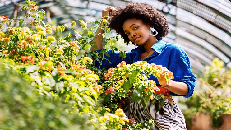 Licence Pro en Horticulture et Fleur Artificielle