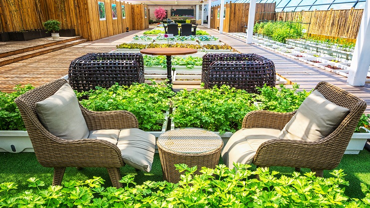 Licence Pro en Paysagisme et Décoration d'Espace Vert