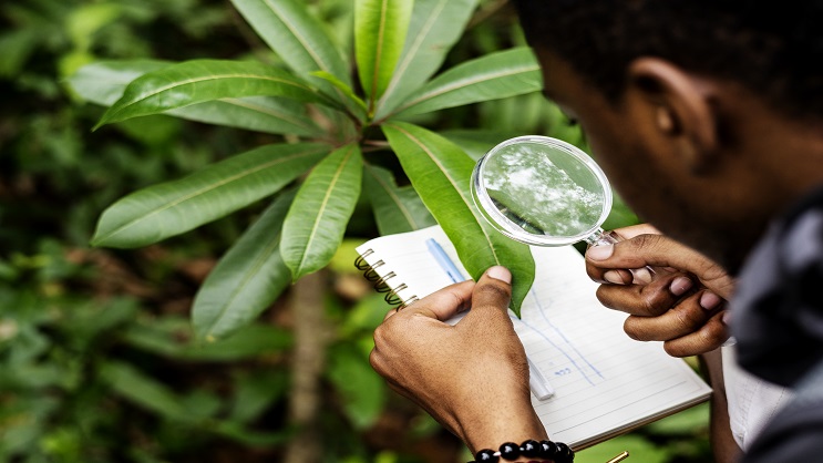 Licence Professionnelle en Sciences Agronomiques