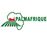 PALMAFRIQUE